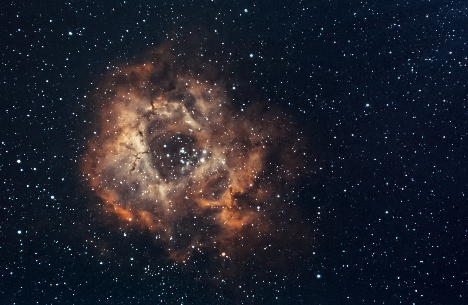 Rosette nebula - HOO